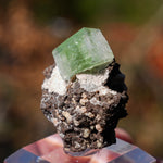 Groene Apofyliet | Apofyliet kopen | Minerals by Mike & Isis