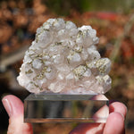 Calciet Pyriet Specimen | Mineralen Collectie | Minerals by Mike & Isis