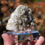 Calciet Pyriet Specimen | Mineralen Collectie | Minerals by Mike & Isis