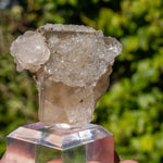 Fluoriet uit El Hammam, Marokko #5