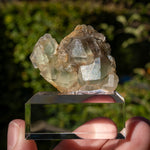 Fluoriet uit El Hammam, Marokko #3