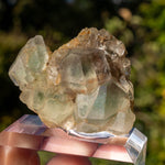 Fluoriet uit El Hammam, Marokko #3
