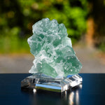 suiker fluoriet