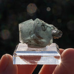 Fluoriet uit XiangHuaPu #9