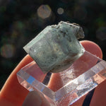 Fluoriet uit XiangHuaPu #9