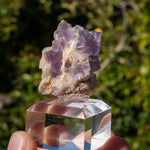 Fluoriet uit Berbes #19