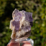 Fluoriet uit Berbes #19