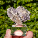Fluoriet uit Berbes #20