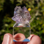 Fluoriet uit Berbes #22