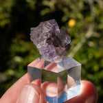 Fluoriet uit Berbes #22