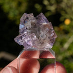 Fluoriet uit Berbes #22