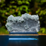 suiker fluoriet
