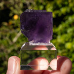 Fluoriet uit Berbes #23