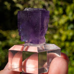 Fluoriet uit Berbes #23