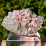 rhodochrosiet kwarts madan Bulgarije