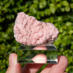 Rhodochrosiet uit Bulgarije #3