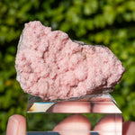 Rhodochrosiet uit Bulgarije #3