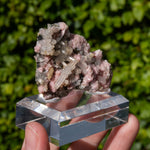 Rhodochrosiet uit Bulgarije #1