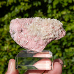 Rhodochrosiet uit Bulgarije #4