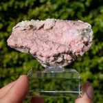 Rhodochrosiet uit Bulgarije #4