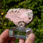 Rhodochrosiet uit Bulgarije #4