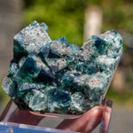 Fluoriet, Northern Light Pocket, Weardale, UK #1