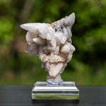 Calciet uit Bulgarije #2