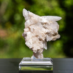 Calciet uit Bulgarije #2