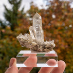 kwarts Planggenstock Zwitserland