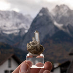 kwarts Planggenstock Zwitserland