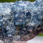 fluoriet Jalingo Nigeria