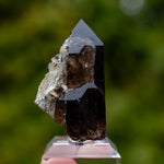 rookkwarts Val Giuv Zwitserland
