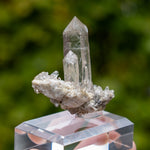 kwarts Planggenstock Zwitserland