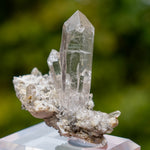 kwarts Planggenstock Zwitserland