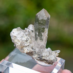 kwarts Planggenstock Zwitserland
