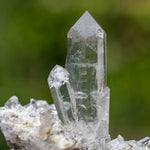 kwarts Planggenstock Zwitserland