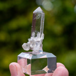 kwarts Planggenstock Zwitserland