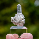 kwarts Planggenstock Zwitserland