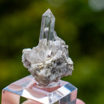 kwarts Planggenstock Zwitserland