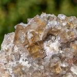 Fluoriet uit Valzergues, Frankrijk #6