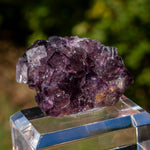Fluoriet uit Okorusu, Namibië #2
