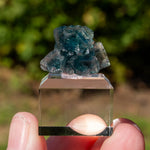 Fluoriet uit Okorusu, Namibië #1