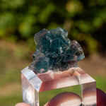 Fluoriet uit Okorusu, Namibië #1