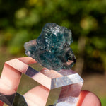 Fluoriet uit Okorusu, Namibië #1