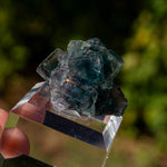 Fluoriet uit Okorusu, Namibië #1