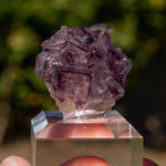 Fluoriet uit Okorusu, Namibië #4