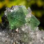 Fluoriet uit Milpo, Peru #9