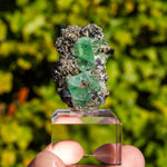 Groene fluoriet Milpo Peru