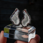 Agaat geode, Tabasco, Mexico #5