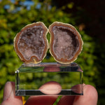 Agaat geode, Tabasco, Mexico #6